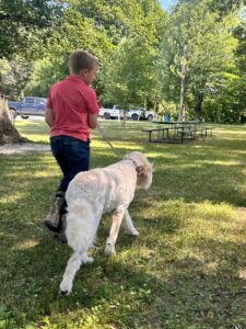 Boy walking goldendoodle Bella, as a great form of goldendoodle exercise and training!